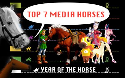 TOP 7 Media Horses